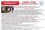 Птичий грипп: памятка для населения.