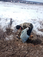 Прошел субботник!