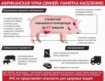 Африканская чума свиней: памятка для населения.