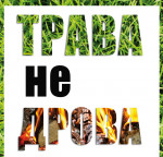 Информация по палу сухой травы