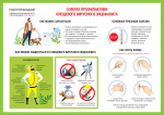 Клещевой вирусный энцефалит — опасное заболевание!