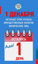 1 декабря истекает срок уплаты имущественных налогов физических лиц