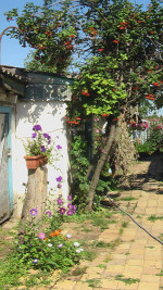 Праздник села