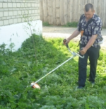 Декадник по скашиванию травы продолжается
