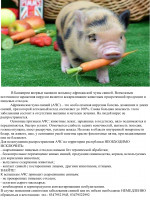 Вспышка африканской чумы