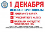 Оплати налоги до 1 декабря!