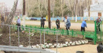 Экологические субботники