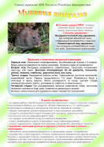 Мышиная лихорадка